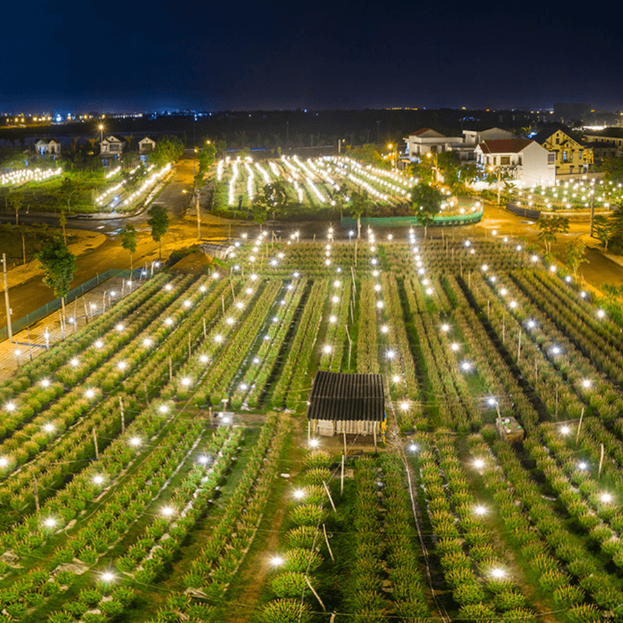 Bóng đèn Hoa Cúc LED A-Bulb E27 Nanoco